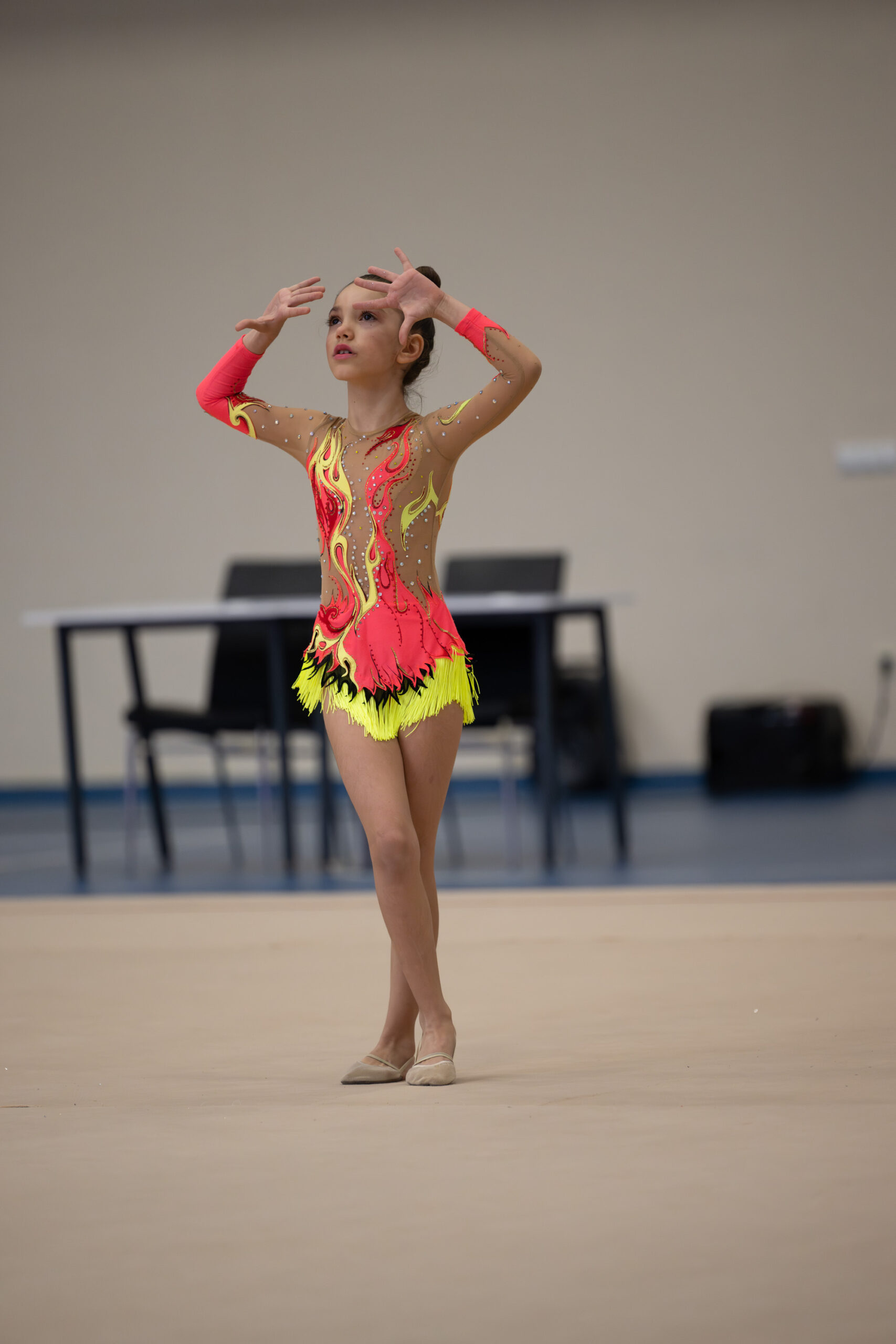 Cimnastik malzemeleri